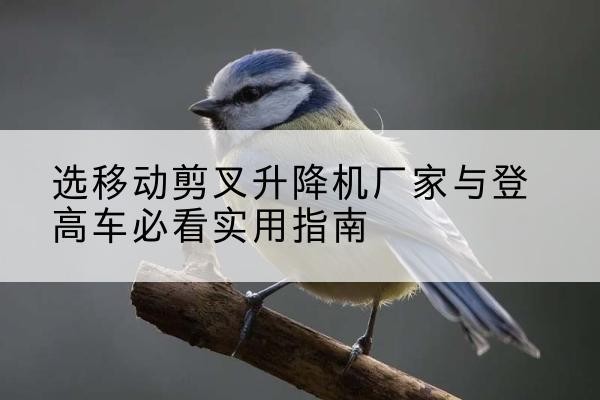 防城港电动升降机厂家-选移动剪叉升降机厂家与登高车必看实用指南