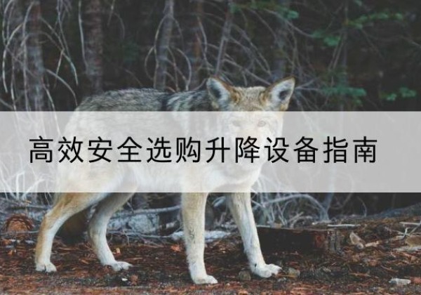 防城港升降货梯厂家推荐-*安全选购升降设备指南